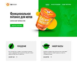 дипломный проект